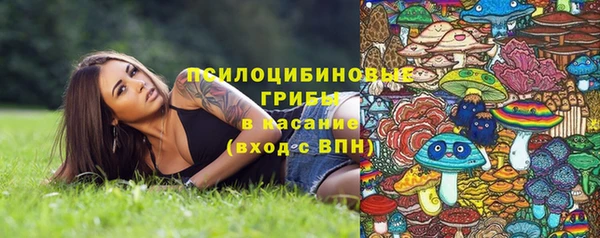 стаф Алзамай