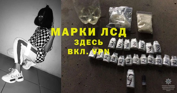 стаф Алзамай