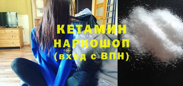 стаф Алзамай