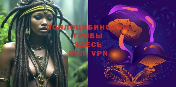 стаф Алзамай